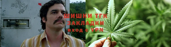 PSILOCYBIN Богородицк