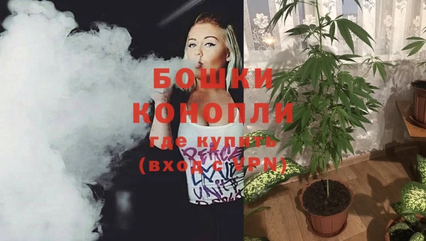 PSILOCYBIN Бронницы