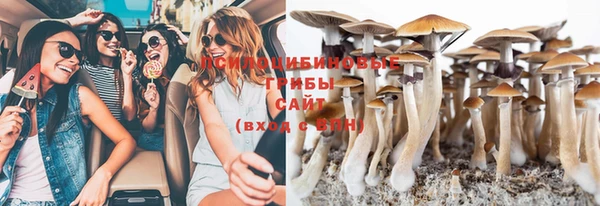 PSILOCYBIN Бронницы