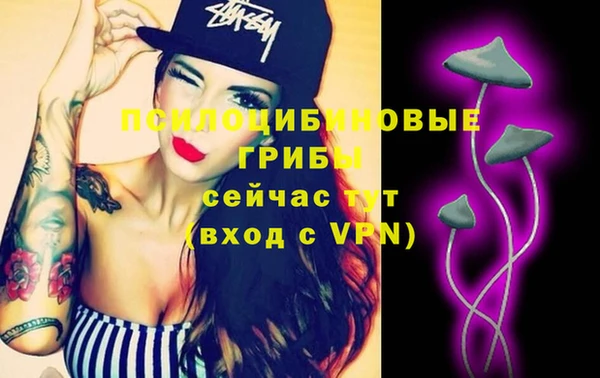 PSILOCYBIN Бронницы