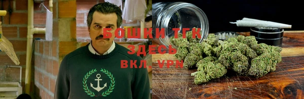 PSILOCYBIN Бронницы